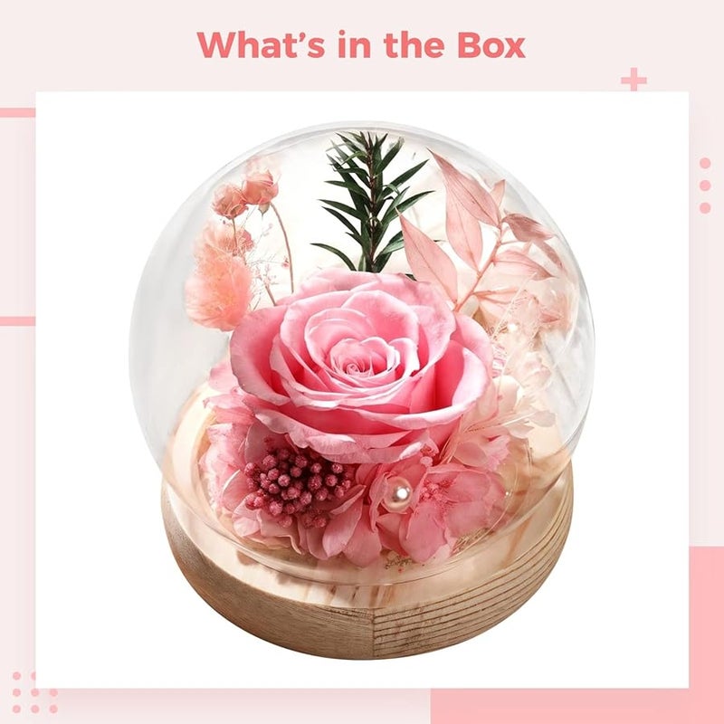 الورود الحمراء المحفوظة الأبدية في قبة زجاجية مع قاعدة خشبية لتزيين الزهور - Image 4